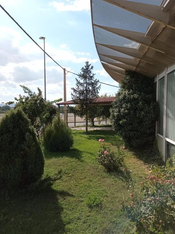 Hostal Brin Monreal del Campo Extérieur photo
